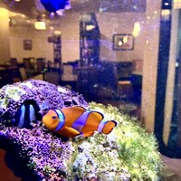 中国料理 盤古殿 新横浜プリンスホテル店 - 