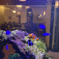 中国料理 盤古殿 新横浜プリンスホテル店 - 