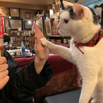 カフェ アルル - 