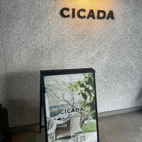 CICADA - 