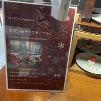 XEX TOKYO / Salvatore Cuomo Bros. - 