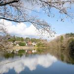 starnet - 店の傍の須田ヶ池公園