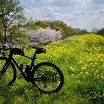 レストラン カタヤマ - 荒川左岸（大宮あたり）