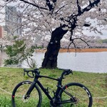 レストラン カタヤマ - 新調しました