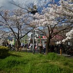レストラン カタヤマ - 都市農業公園の辺り