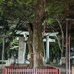 Itaria Ryouri Wo Tabe Ni Ikou - 大國魂神社