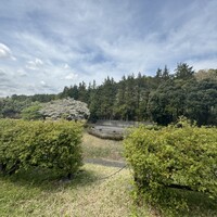 リストランテ 桜鏡 - 