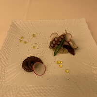 ピアット・スズキ - 