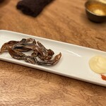 Sushi Bato Tokoji - ホタルイカの乾き物