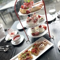 THE COSMOPOLITAN GRILL BAR TERRACE - 