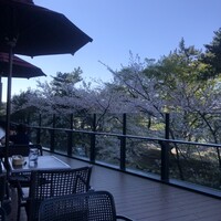 トラットリア グランボッカ - 