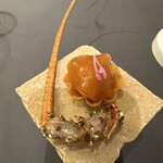 プレゼンテ スギ - 