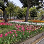 相州そば - 関内公園