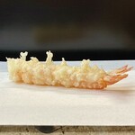 Tempura Tentsuyu - 車海老一本目 熊本より
                        中は半生に、衣は薄くカラッとした揚げあがり、車海老の甘みがほんのりして実に旨いのです♪