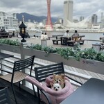 エッグスンシングス 神戸ハーバーランド店 - 