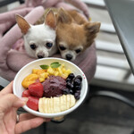 エッグスンシングス 神戸ハーバーランド店 - 