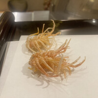 天七 - 