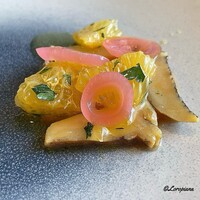 DADA - 三陸 宮古産の螺貝と紅甘夏 京人参のクーリ
