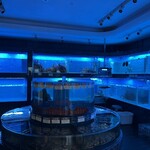 金悅軒海鮮火鍋酒家 - 