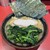 横浜ラーメン 真砂家 - 料理写真: