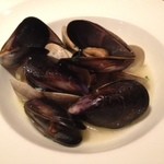 TRATTORIA ROMANO - サービスメニュー201402