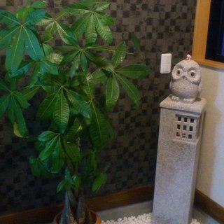 肉そば はくよう_2