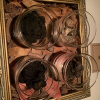 Terres de Truffes, Tokyo - 