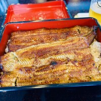 鰻 若松 - 