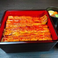 かすみ重(霞ヶ浦天然黄金うなぎ)