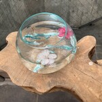 バンダラ ランカ - テラスのお花