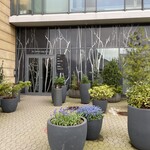 Geranium - 入り口