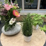 Geranium - 入り口