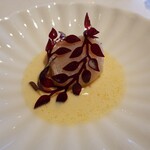 Geranium - 帆立貝