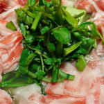 Gohan Ya Tamari - 白河高原清流豚とクレソンのちり鍋