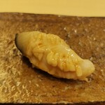 鮨 たかはし - ホッキガイ