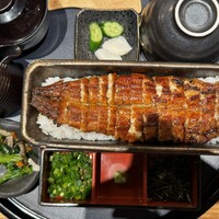 うなぎ四代目菊川 ミッドランドスクエア 名古屋本店 - 