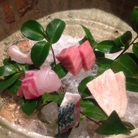 福島 もう利 - お刺身盛り合わせ