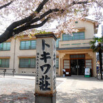 松葉 - 桜×トキワ壮ミュージアム② 美し過ぎてもぅ1 Cut！