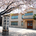 松葉 - 桜×トキワ壮ミュージアム①