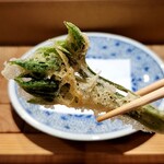 天ぷら浅沼 - コシアブラ