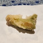 天ぷら浅沼 - たらの芽