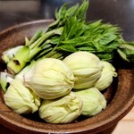 天ぷら浅沼 - 春の山菜