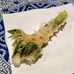 天ぷら浅沼 - コシアブラ