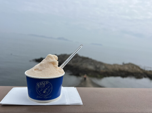ショーショー （Scio Scio） - 播州赤穂/ジェラート・アイスクリーム