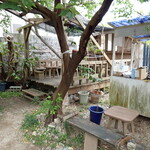 珈琲屋台ひばり屋 - 店内