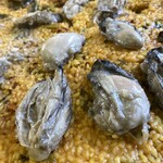 Supein Ryouri Rama-Sa - コース料理　大粒の牡蠣のパエリア