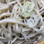 Yagiri Soba Horikiri - 塩振ってわさびとネギを乗せて