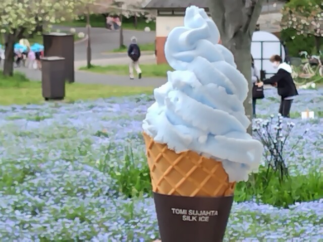 Parks Yuhino Oka Ten photo 4