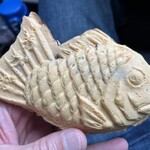 Taiyaki Wakaba - 