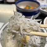 Kaikourakuzen Kamatsuru - しらすのフワッとした食感